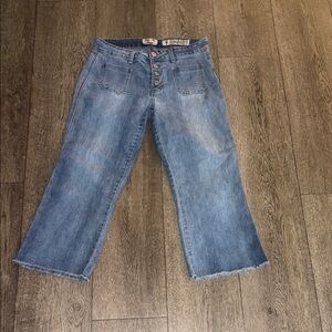 Indigo Rein Light Blue Flare Crop Jeans